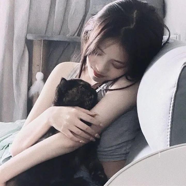 苏莱曼的故事