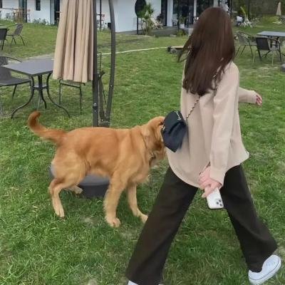伟大艺术 第一季
